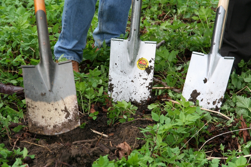 pepiniere-COGOLIN-min_work-lawn-flower-tool-green-backyard-1103633-pxhere.com